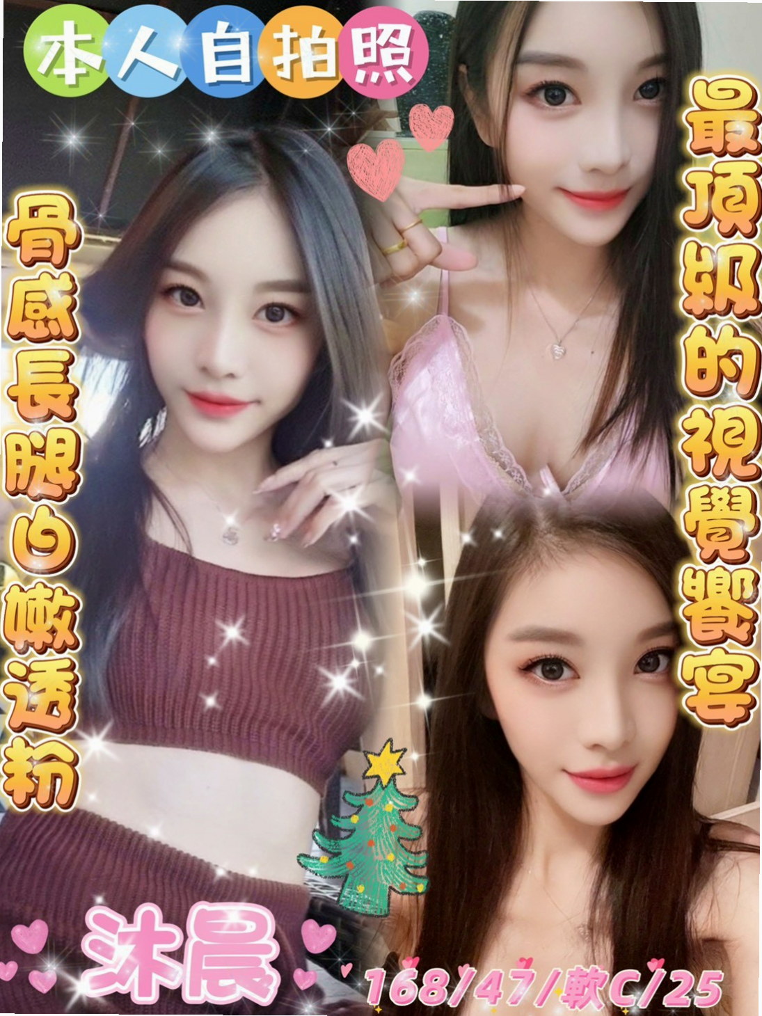 ▼南投定點茶